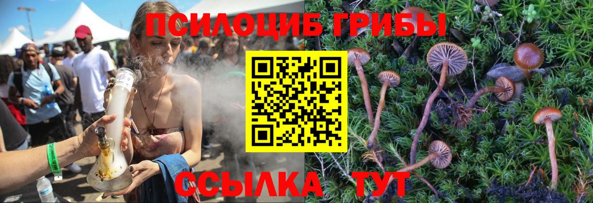 Псилоцибиновые грибы Psilocybe  Вход с VPN  Энгельс  Псилоцибиновые грибы MAGIC MUSHROOMS 