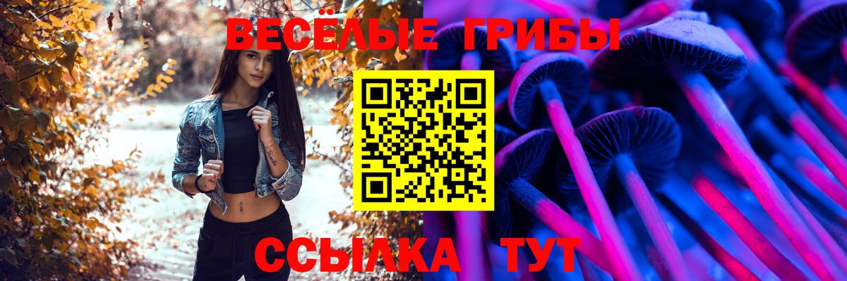 Псилоцибиновые грибы Psilocybine cubensis Энгельс